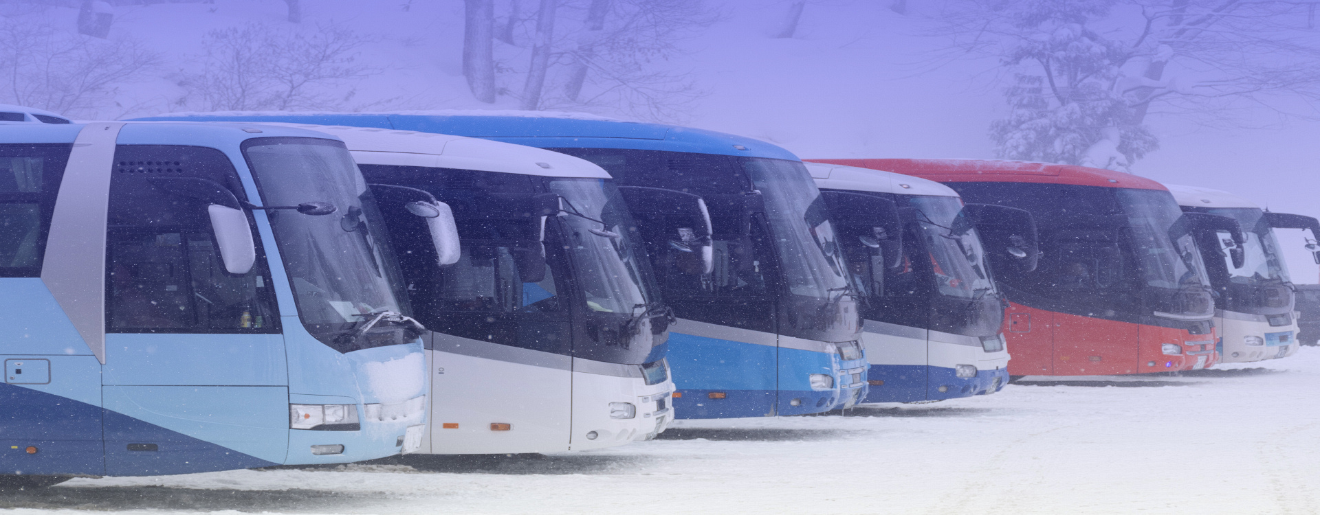 Buses lined up in the Snow